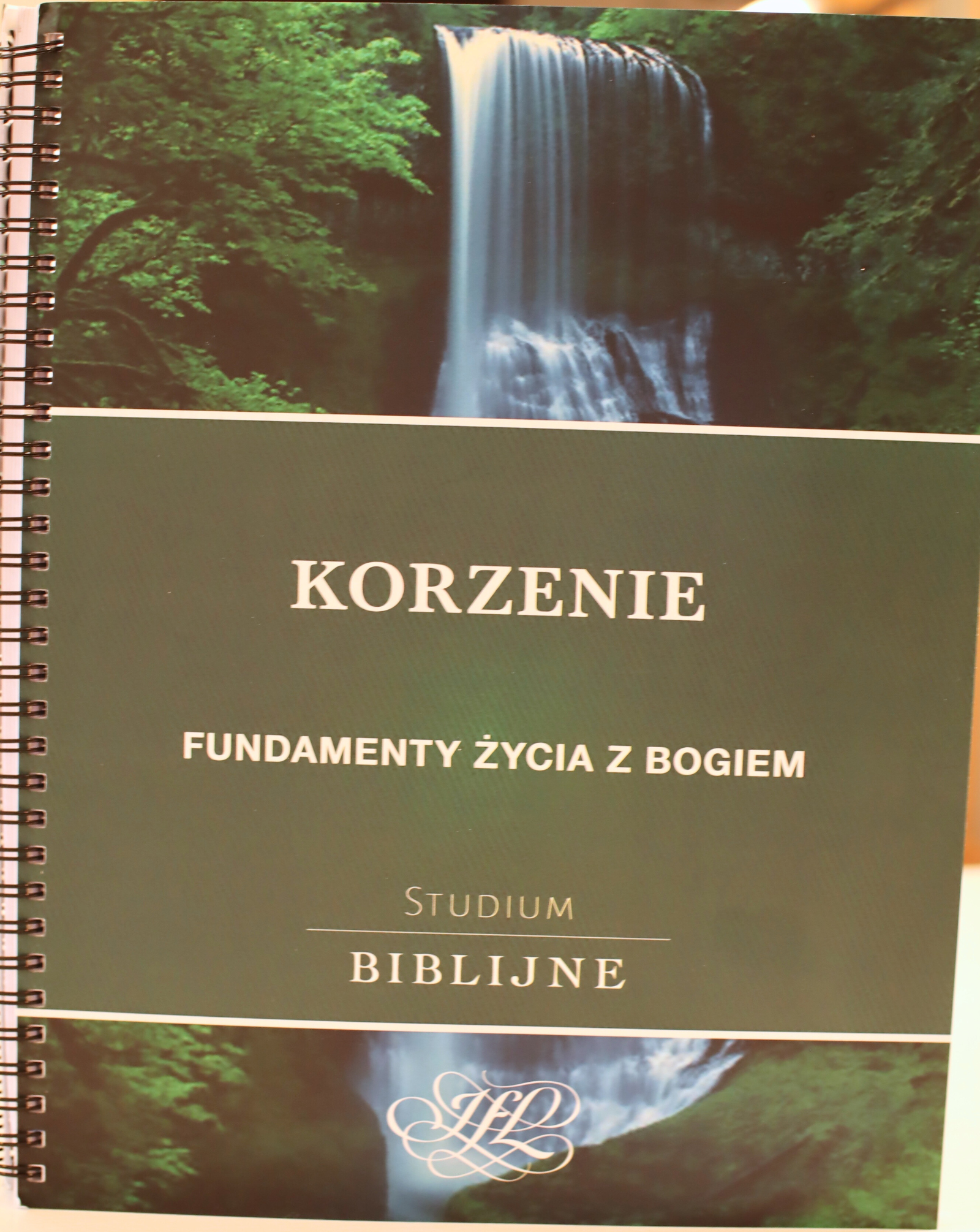 CANVA_Korzenie CANVA_Korzenie
